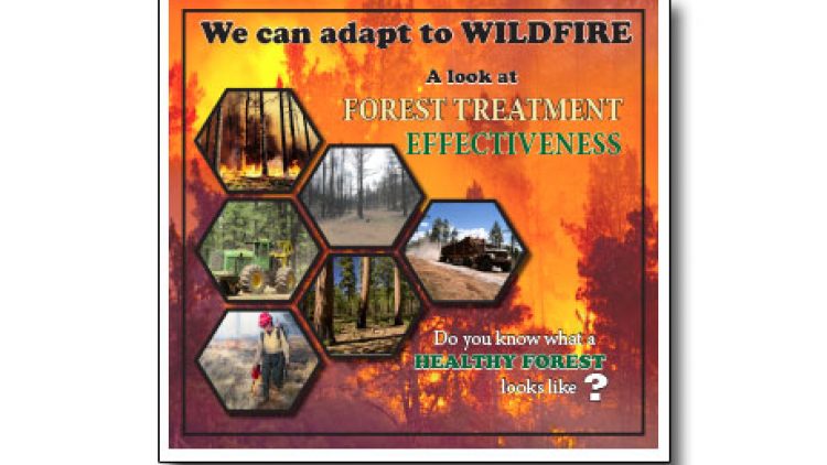 A Look at Forest Treatment (thinning trees/prescribed fire) Effectiveness