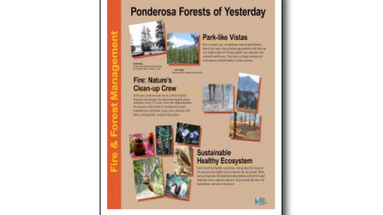 Fire & Forest Management Trail Signage Collection 