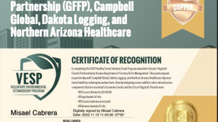 GFFP recognized with “VESP” Award